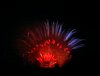 Fireworks_0063a.JPG