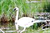 DSC_0013a2.jpg