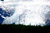 DSC_0108a.jpg