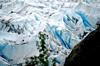 DSC_0114a.jpg