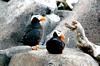 DSC_0139a.jpg