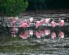 FLA_0722a.jpg
