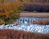 NM1_0099a.jpg