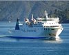 NZ1_0075a.jpg