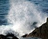 NZ1_0264a.jpg