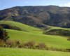 NZ1_0396a.jpg
