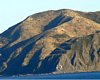 NZ2_0061a.jpg
