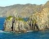 NZ2_0065a.jpg