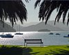 NZ2_0101a.jpg